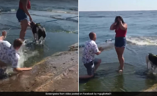 Man Falls Into Lake Right Before Proposing To Girlfriend. Video Is Viral