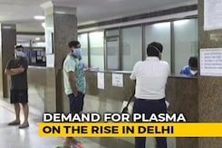 'Find A Replacement': Delhi's New Plasma Policy Amid Donor Shortage 'Find A Replacement': Delhi's New Plasma Policy Amid Donor Shortage