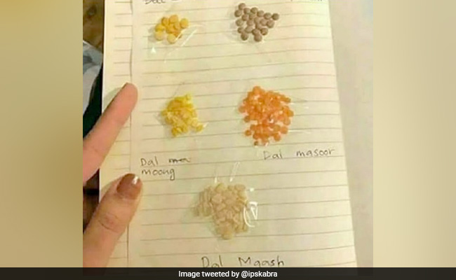 देसी मां ने बेटे की शादी से पहले उसे गिफ्ट किया ''दाल एल्बम'' तो ट्विटर पर लोग हंसते-हंसते हुए लोट-पोट