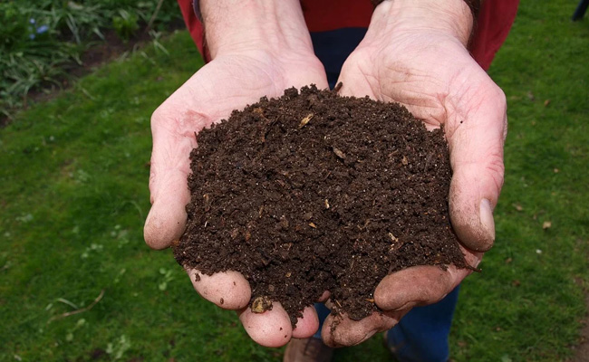 World Nature Conservation Day: 5 Things We Can Do For A Sustainable Life