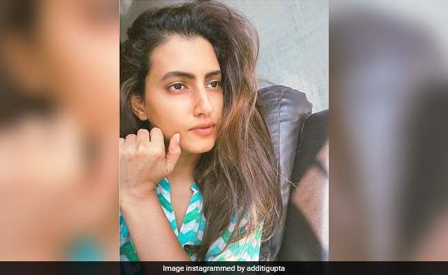 Actress Additi Gupta Tests COVID-19 Positive: "Chose To Quarantine Myself At Home"