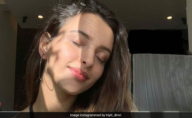 Tripti Dimri's Latest Selfie Is All About Catching Rays And Setting Skin Goals