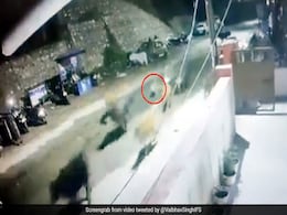 सड़क पर आते ही गाय के झुंड के पीछे भागा तेंदुआ और फिर... CCTV में कैद हुआ Shocking Video सड़क पर आते ही गाय के झुंड के पीछे भागा तेंदुआ और फिर... CCTV में कैद हुआ Shocking Video