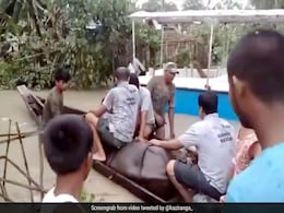 बाढ़ में मां से अलग हुआ गैंडे का बच्चा तो लोगों ने बिठाया नाव में और किया यह काम... देखें Viral Video बाढ़ में मां से अलग हुआ गैंडे का बच्चा तो लोगों ने बिठाया नाव में और किया यह काम... देखें Viral Video