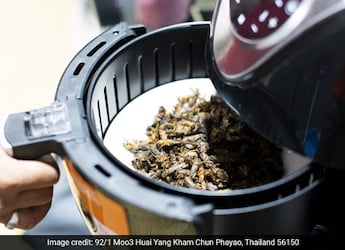 Love Fries And Nuggets? Air Fryer Will Help You Prepare These Snacks Sans Oil - 6 Best Options Love Fries And Nuggets? Air Fryer Will Help You Prepare These Snacks Sans Oil - 6 Best Options