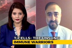 Covid Antibodies May Wane, T-Cells Are New Heroes Covid Antibodies May Wane, T-Cells Are New Heroes