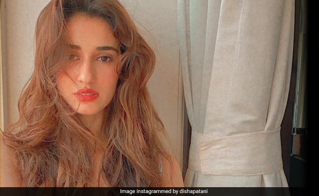 Tiger Shroff's Sister Krishna Left This Comment On Disha Patani's Post