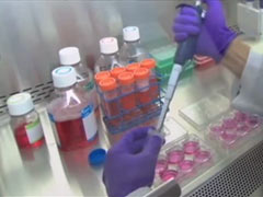 Coronavirus: दिल्ली में में रिकवरी रेट बढ़कर 82 प्रतिशत के करीब पहुंचा, 1647 नए मामले आए