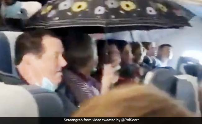 प्लेन के अंदर टपकने लगा पानी तो छतरी खोलकर बैठ गया शख्स, यात्रियों की ऐसी हुई हालत... देखें Video