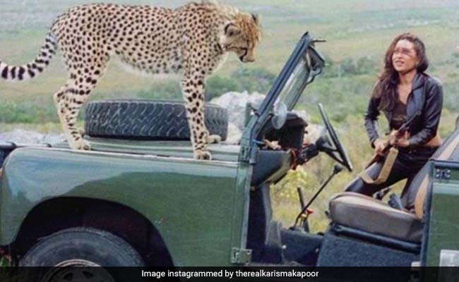 Karisma Kapoor Has Every Reason To Look Scared In This Pic With A Cheetah