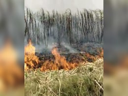 No Buyers, Punjab Farmer Sets On Fire Sugarcane Crop Worth Rs 5 Lakh No Buyers, Punjab Farmer Sets On Fire Sugarcane Crop Worth Rs 5 Lakh