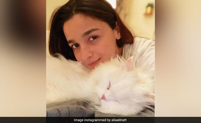 Alia Bhatt Shares A Pic With Her "Calm In Every Storm." See Her Latest Post