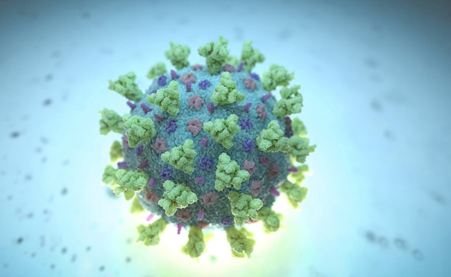 Steroid's COVID-19 Benefits Confirmed, Spotlight On Immune Cells: Report