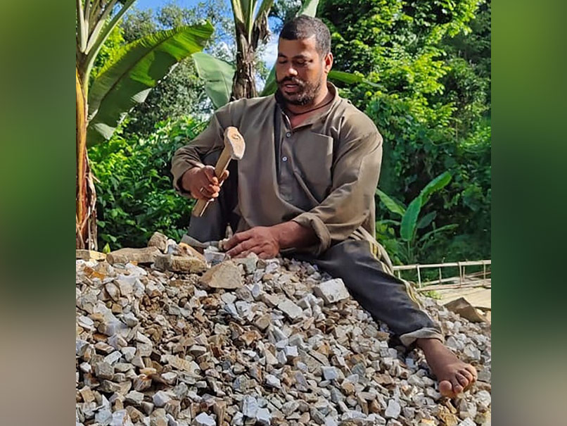 Rajendra Singh Dhami, Wheelchair Cricketer, Turns Labourer During Lockdown