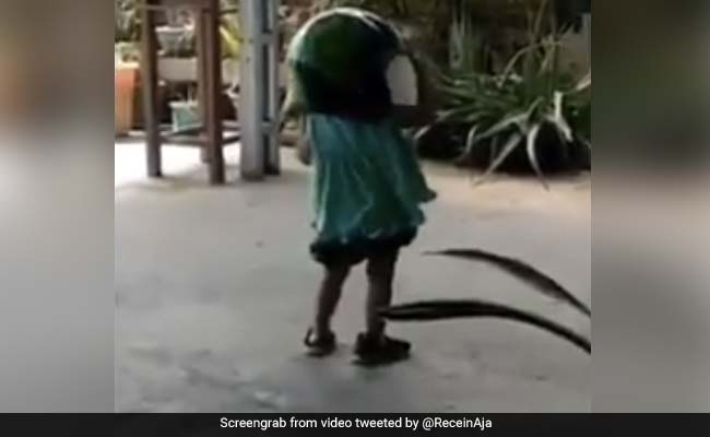 बच्ची ने सिर पर पहना बहुत बड़ा हेलमेट, टकराई खंभे से, फिर हुआ ऐसा - देखें Viral Video