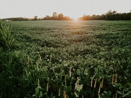 कैसे होगा किसानों का कल्याण जब कृषि विभाग में 30 सालों से नहीं हुई सीधी भर्ती, 40% ज्यादा पद खा़ली कैसे होगा किसानों का कल्याण जब कृषि विभाग में 30 सालों से नहीं हुई सीधी भर्ती, 40% ज्यादा पद खा़ली