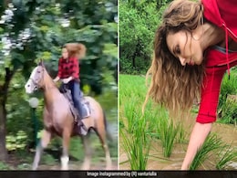 यूलिया वंतूर ने पहले बोई फसल, फिर सलमान खान के फार्म हाउस में यूं की घुड़सवारी, देखें Photo और Video यूलिया वंतूर ने पहले बोई फसल, फिर सलमान खान के फार्म हाउस में यूं की घुड़सवारी, देखें Photo और Video