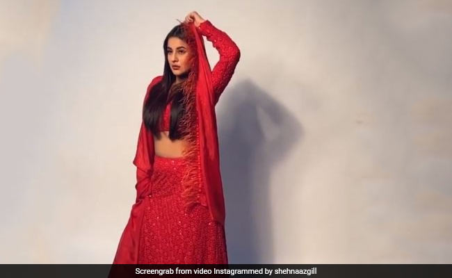 शहनाज गिल ने रेड आउटफिट में दिखाया ग्लैमरस अंदाज, लॉकडाउन में कराया फोटोशूट... देखें Video