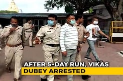 The Dramatic Temple Find Of Gangster Vikas Dubey The Dramatic Temple Find Of Gangster Vikas Dubey