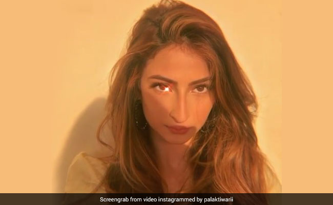 श्वेता तिवारी की बेटी पलक तिवारी ने शेयर किया Video,अपने ग्लैमरस अंदाज से बटोरी सुर्खियां