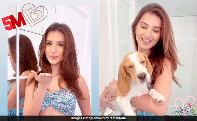 Tara Sutaria Shows Us How To Stay Summer-Friendly In Chic Crop Tops