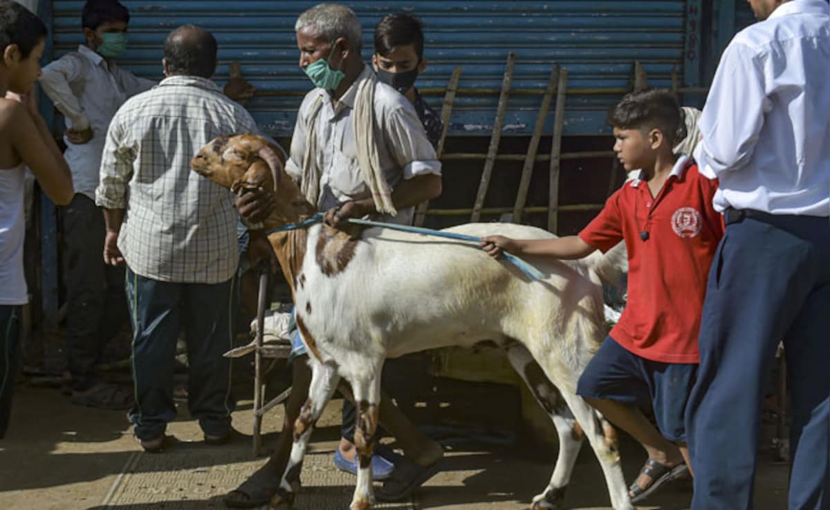 Refrain From Cow Slaughter: Assam Eid Committees Ahead Of Bakri Eid