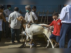 Refrain From Cow Slaughter: Assam Eid Committees Ahead Of Bakri Eid