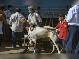 Refrain From Cow Slaughter: Assam Eid Committees Ahead Of Bakri Eid