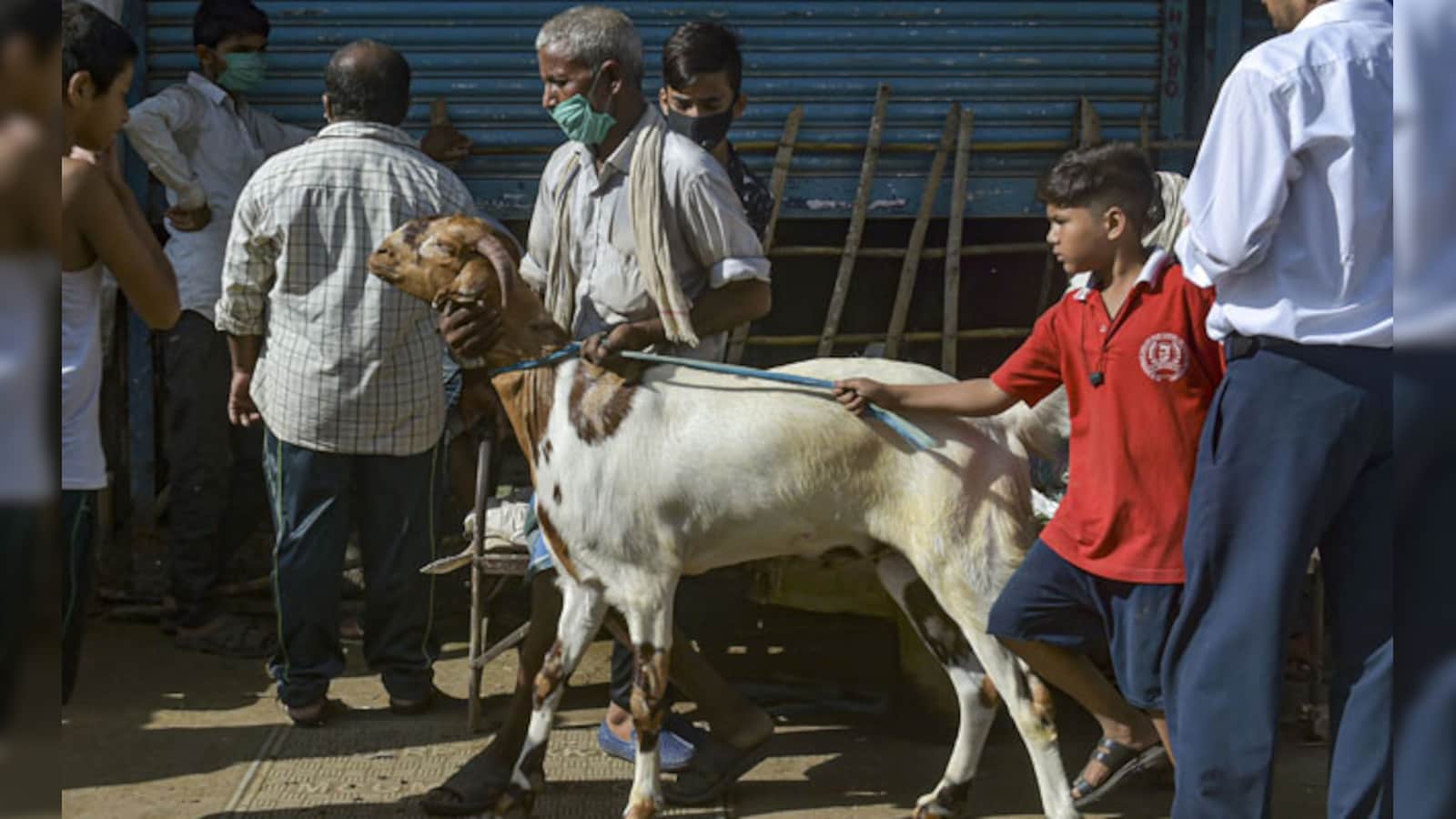 Refrain From Cow Slaughter: Assam Eid Committees Ahead Of Bakri Eid