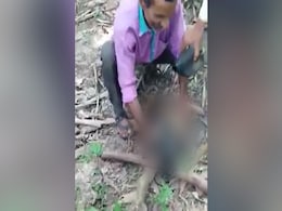 बंदर के साथ अमानवीय व्यवहार करने वाले लोग हुए गिरफ्तार, वन विभाग ने भी लगाया जुर्माना बंदर के साथ अमानवीय व्यवहार करने वाले लोग हुए गिरफ्तार, वन विभाग ने भी लगाया जुर्माना