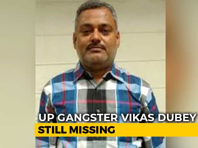 Over 100 Locations Searched In Hunt For UP Gangster Who Killed 8 Cops