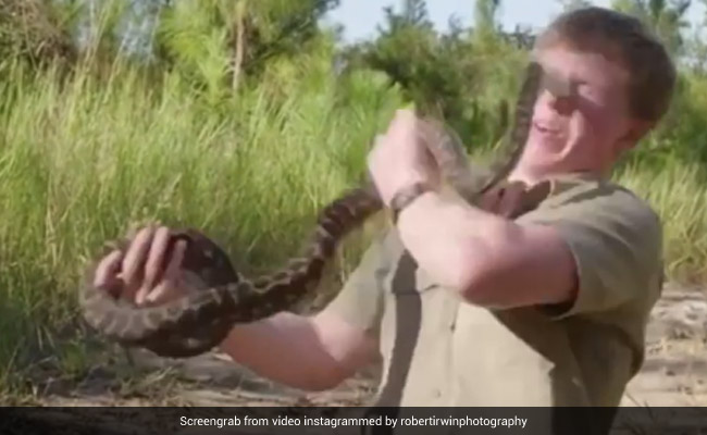 Robert Irwin Shares Video That Shows Him Being Attacked By Snake
