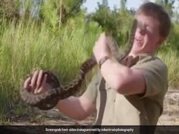 शख्स ने हाथ में लिया सांप, तो गुस्से में मुंह पर किया Attack, निकलने लगा खून और फिर... देखें Video शख्स ने हाथ में लिया सांप, तो गुस्से में मुंह पर किया Attack, निकलने लगा खून और फिर... देखें Video