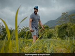 सलमान खान ने अपने फार्म हाउस पर उगाई फसल, Photo शेयर कर बोले- दाने-दाने पर लिखा होता है खाने वाले का नाम... सलमान खान ने अपने फार्म हाउस पर उगाई फसल, Photo शेयर कर बोले- दाने-दाने पर लिखा होता है खाने वाले का नाम...