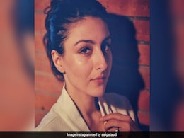 On International Tiger Day, Soha Ali Khan Shares A Special Post. Pic Inside On International Tiger Day, Soha Ali Khan Shares A Special Post. Pic Inside