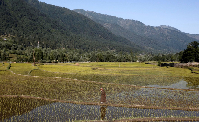 No Labour Amid Covid, Indian Farmers Use Machines In "Watershed Moment"