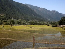 No Labour Amid Covid, Indian Farmers Use Machines In "Watershed Moment" No Labour Amid Covid, Indian Farmers Use Machines In "Watershed Moment"