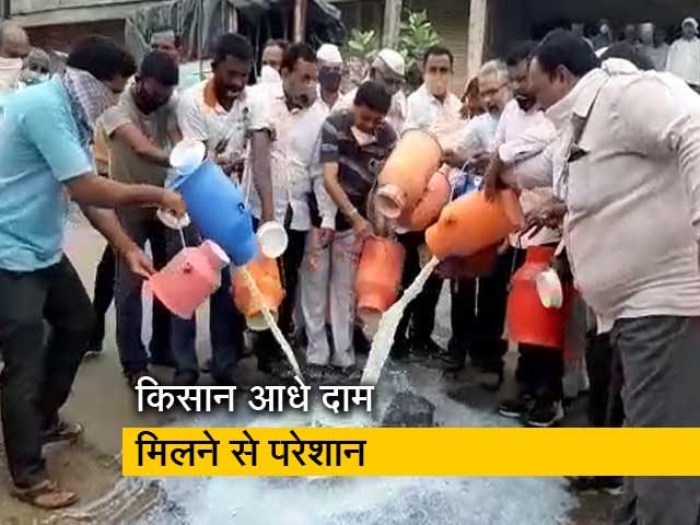महाराष्ट्र में दूध उत्पादक किसान क्यों आंदोलन पर उतारू?