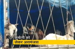 बकरीद में कुर्बानी पर असमंजस बकरीद में कुर्बानी पर असमंजस