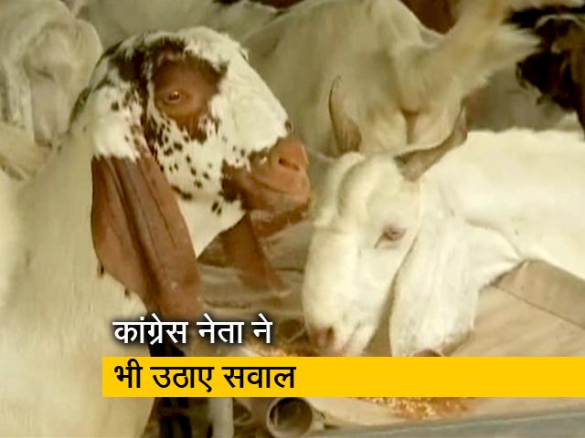 महाराष्ट्र में बकरीद के नियमों को लेकर मुस्लिम समुदाय नाराज़