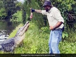 शख्स के हाथ में मांस का टुकड़ा देख भागते हुए आया भूखा मगरमच्छ, ऐसे हवा में उछलकर लपका... देखें Video शख्स के हाथ में मांस का टुकड़ा देख भागते हुए आया भूखा मगरमच्छ, ऐसे हवा में उछलकर लपका... देखें Video