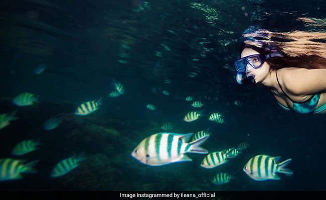 Into The Blue: Ileana D'Cruz's Pic Is What Dreams Are Made Of