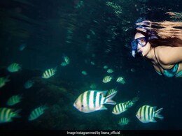 Into The Blue: Ileana D'Cruz's Pic Is What Dreams Are Made Of Into The Blue: Ileana D'Cruz's Pic Is What Dreams Are Made Of
