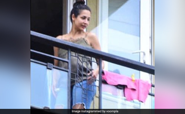 मलाइका अरोड़ा बालकनी में किचन नैपकिन सुखाती आईं नजर, सोशल मीडिया पर Viral हुईं Photos