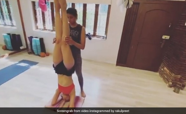 रकुल प्रीत सिंह ने इस अंदाज में किया शीर्षासन, खूब वायरल हो रहा Video