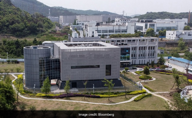 Covid-Like Virus From Bat-Infested Mine Sent To Wuhan Lab In 2013: Report