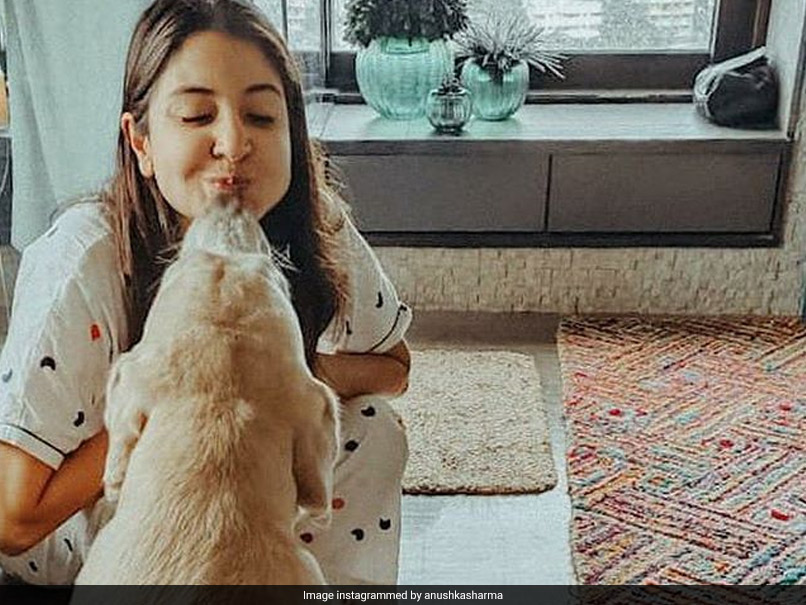 Virat Kohli All-Heart For Anushka Sharma's Pictures With "Sweet-Smoosh-Doggo Dude"