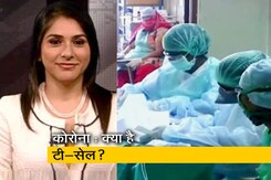 क्या टी-सेल से दोबारा कोरोना संक्रमण का खतरा कम? क्या टी-सेल से दोबारा कोरोना संक्रमण का खतरा कम?