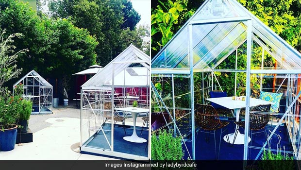 Los Angeles Cafe Sets Up Mini Greenhouses For Safe Post Covid Dining