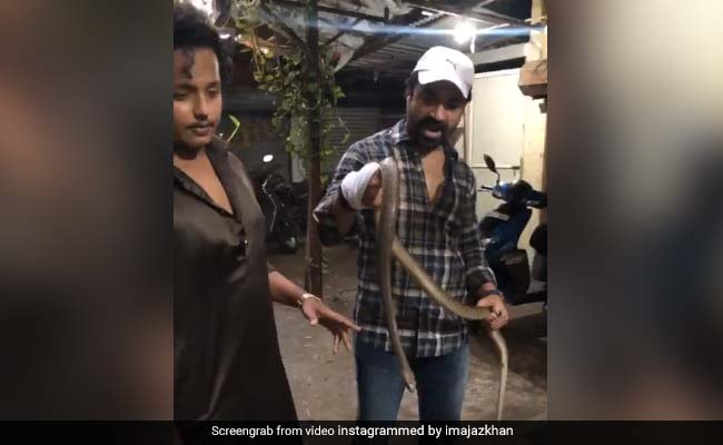 बिग बॉस कंटेस्टेंट ने हाथ में बिना डरे पकड़ा सांप, बोले- इससे जहरीले लोग दुनिया में घूम रहे हैं...देखें Video